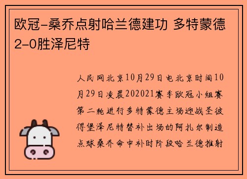 欧冠-桑乔点射哈兰德建功 多特蒙德2-0胜泽尼特