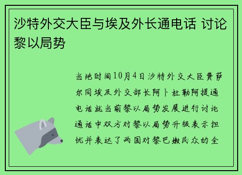 沙特外交大臣与埃及外长通电话 讨论黎以局势